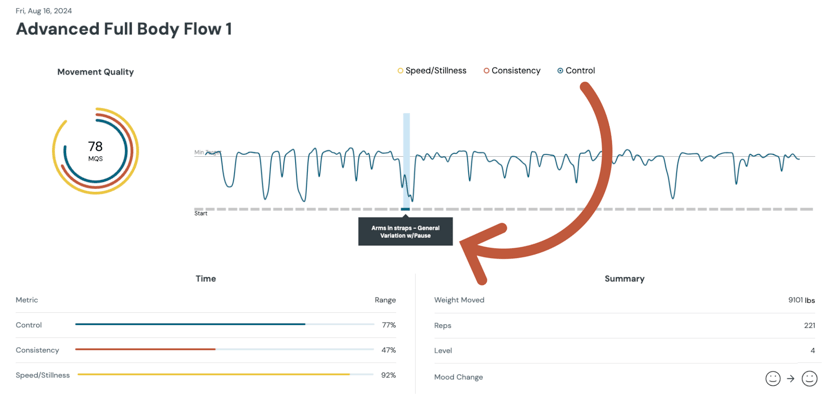 Movement Quality Score Example